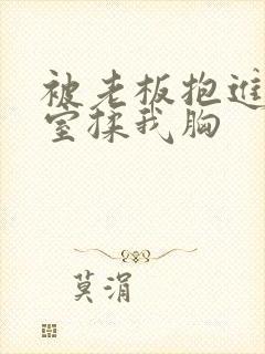 被老板抱进办公室揉我胸