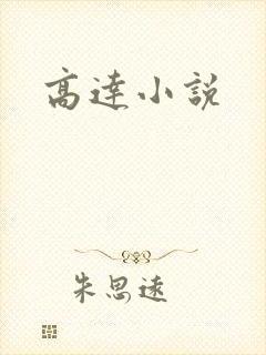 高达小说封面