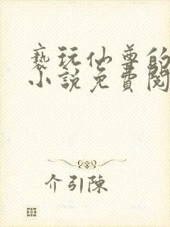 亵玩仙尊的道侣小说免费阅读