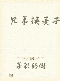 兄弟换麦子4封面