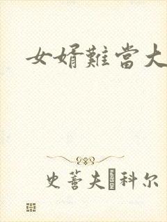 女婿难当大结局