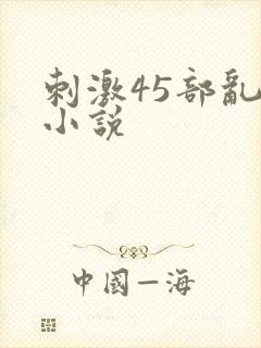 刺激45部乱亲小说封面