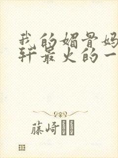 我的媚骨妈妈林轩最火的一句