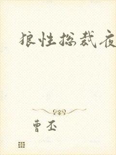 狼性总裁夜欢宠封面