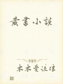 黄书小说封面