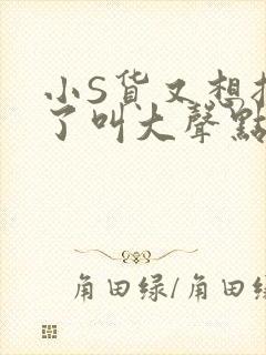 小S货又想挨C了叫大声点小
