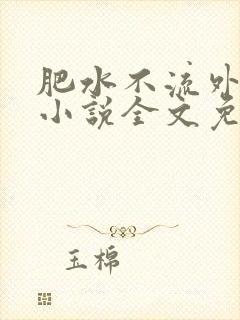 肥水不流外人田小说全文免费阅读全本免封面