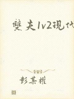 双夫1v2现代
