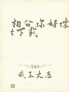 相公你好坏txt下载封面