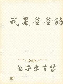 我是爸爸的玩具