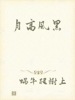 月高风黑封面