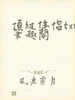 顶级伴侣txt笔趣阁