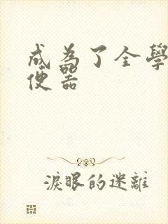 成为了全学校坐便器