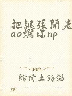 把腿张开老子cao烂你np