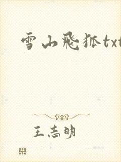 雪山飞狐txt