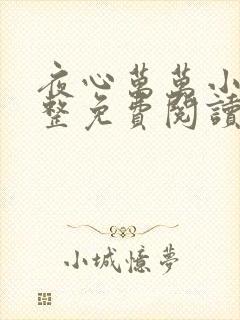 夜心万万小说完整免费阅读全文