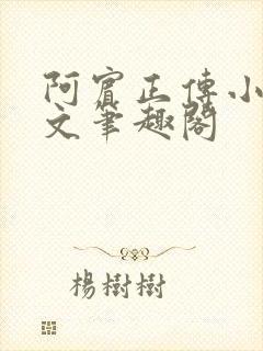 阿宾正传小说全文笔趣阁