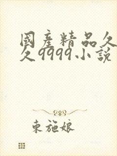 国产精品久久久久9999小说