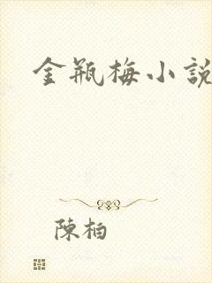 金瓶梅小说下载