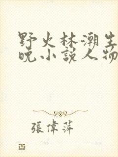 野火林潮生林晚晚小说人物野火