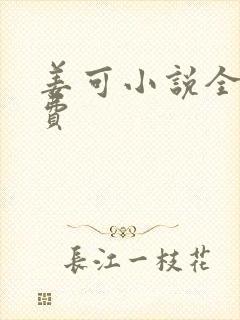 姜可小说全文免费