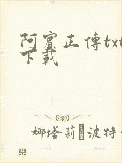 阿宾正传txt下载