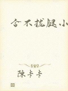 合不拢腿小说