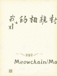 我的相亲对象是xl