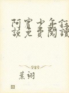 阿宾少年钰慧小说免费阅读笔趣阁