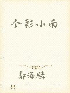 全彩小南封面