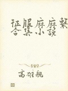 征服麻麻系列大合集小说