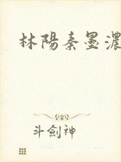 林阳秦墨浓度封面