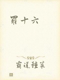 罗十六