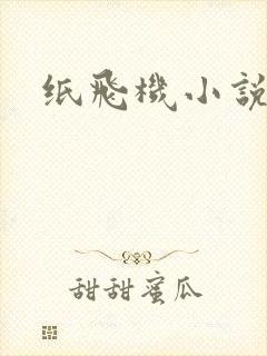 纸飞机小说