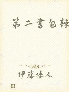 第二书包辣文