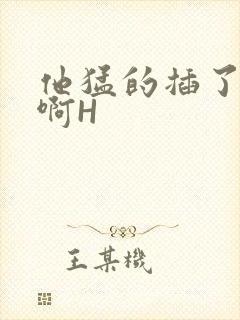 他猛的插了进去啊H