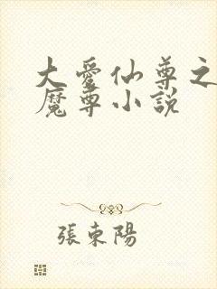 大爱仙尊之邪淫魔尊小说