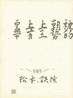 皇上上朝被迫坐带有玉势的龙椅