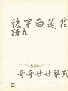 快穿白莲花的引诱h