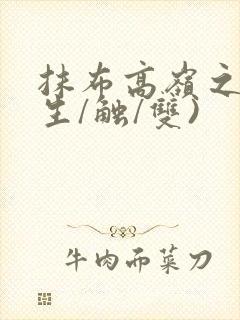 抹布高岭之花(生/触/双)封面