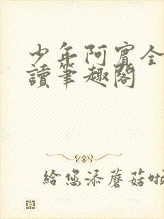 少年阿宾全文阅读笔趣阁封面