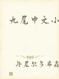九尾中文小说网