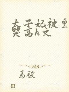 太子妃被皇上c哭高h文