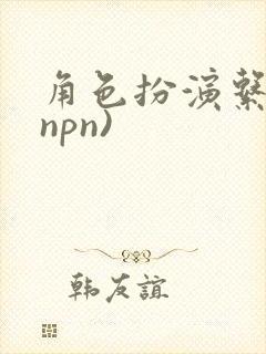 角色扮演系统(npn)