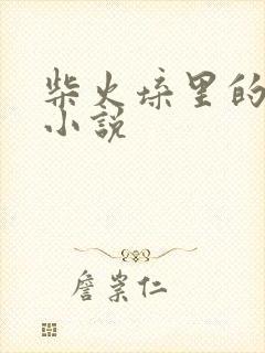 柴火垛里的疯狂小说封面