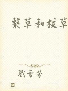 系草和校草封面