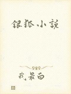 银狐小说