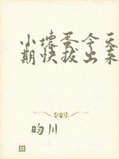 小坏蛋今天危险期快拔出来