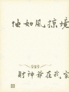 他如风掠境