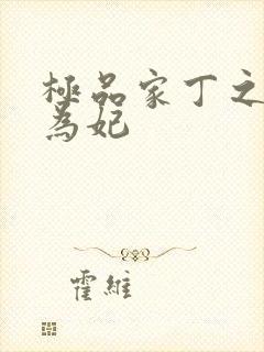 极品家丁之册母为妃封面